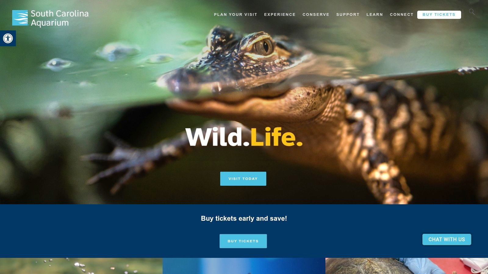 The S.T.D. Army Last-Minute Deals Commissary