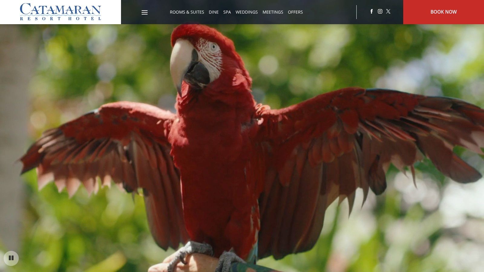 Catamaran Resort Hotel & Spa