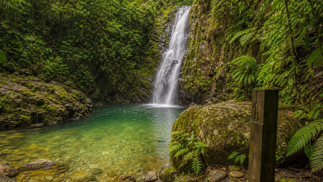 A scenic waterfall cascading into a crystal clear pool in a lush tropical rainforest in Puerto Rico.