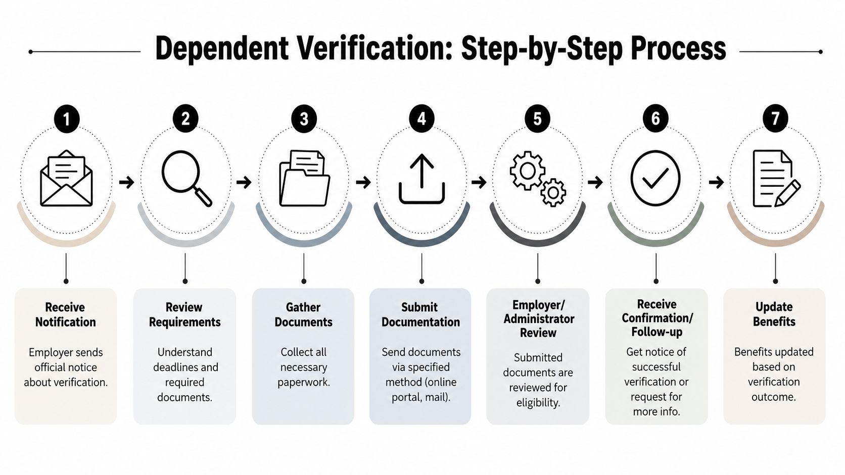 A seven-step flowchart infographic explaining the dependent eligibility verification process for employee benefits and health insurance plans.